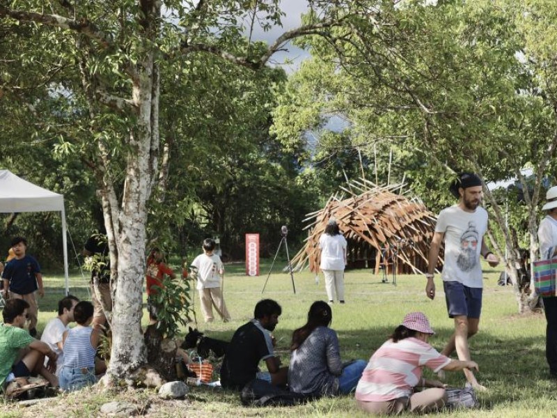 秋季午後大農大富野餐趣