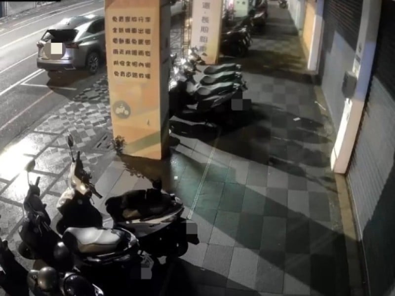 花蓮市國聯一路驚現撞狗逃逸事件,肇事者仍未查明