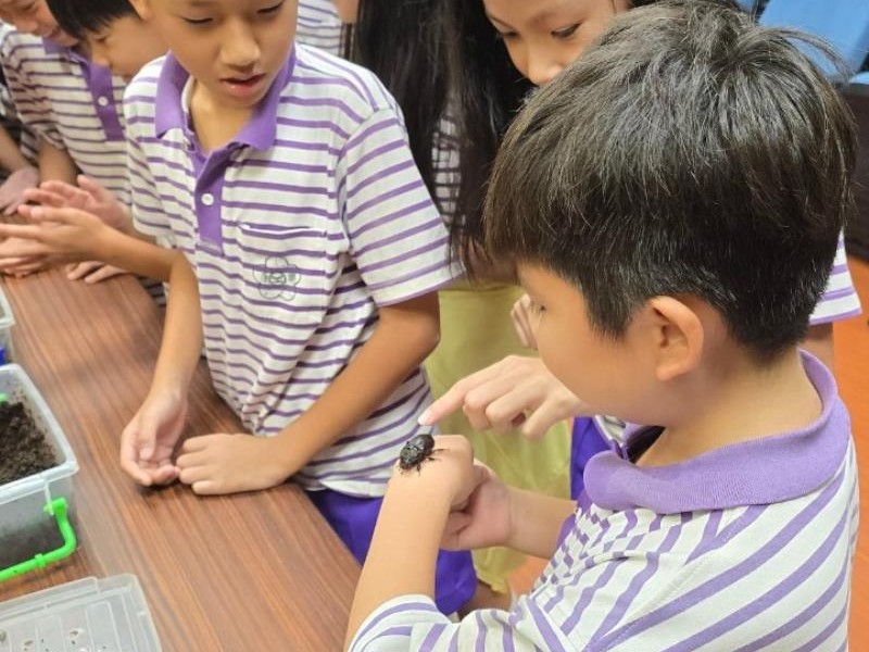 攜手臺大實驗林認識生物多樣性! 校園與「甲蟲們」自然共舞