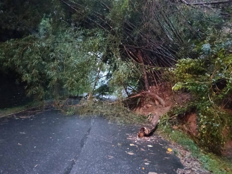 苓雅部落能雅橋附近 邊坡坍滑阻斷道路