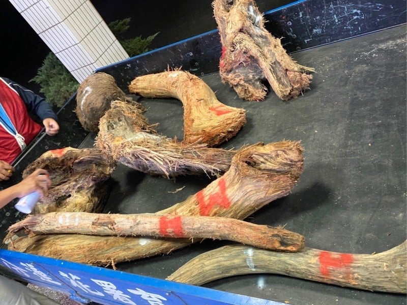 花蓮分署呼籲:漂流木撿拾尚未開放,請耐心等候公告