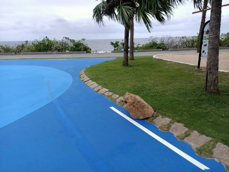 小偷到太平洋公園偷漂流木