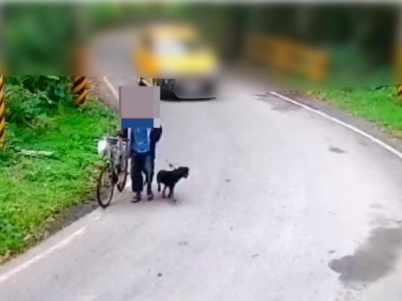 愛犬被偷 波麗士靠監視器迅速破案