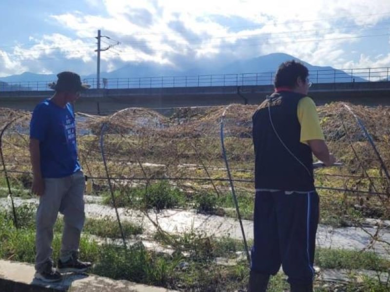 「天兔」進逼 農友要加強防颱措施