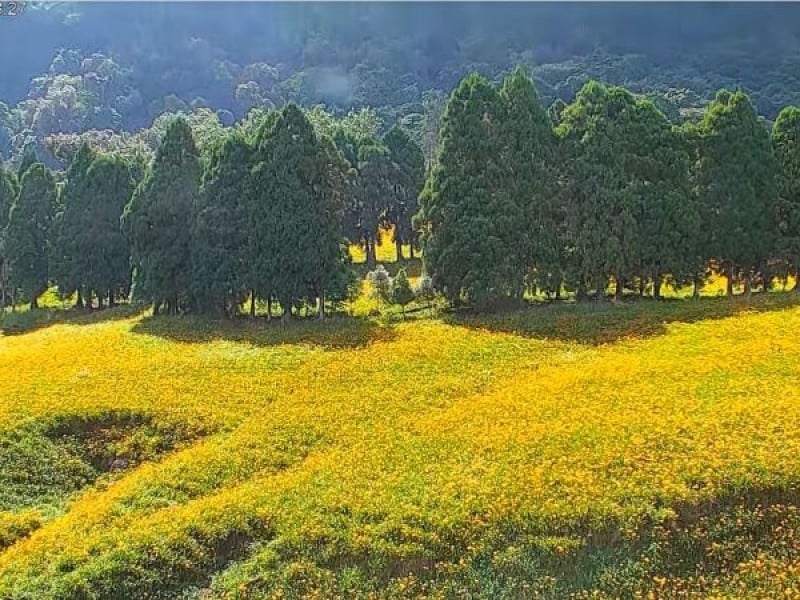 創造屬於花蓮的永續旅遊!總獎金10萬元等你來挑戰