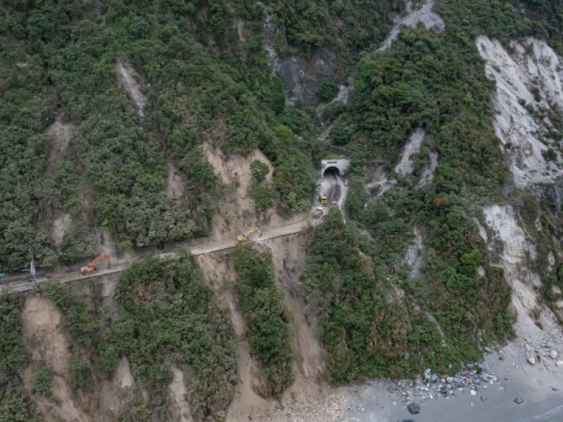 方舟太魯閣影片首映 記錄太魯閣珍貴物種 國家公園署：國家公園是讓生命自由展現韌性的地方