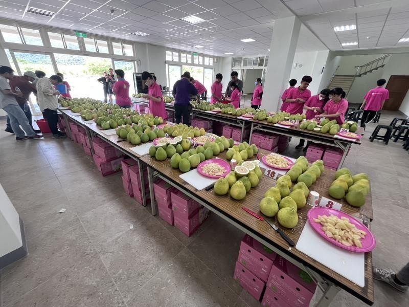 縣府邀集農友討論精進花蓮文旦柚外銷