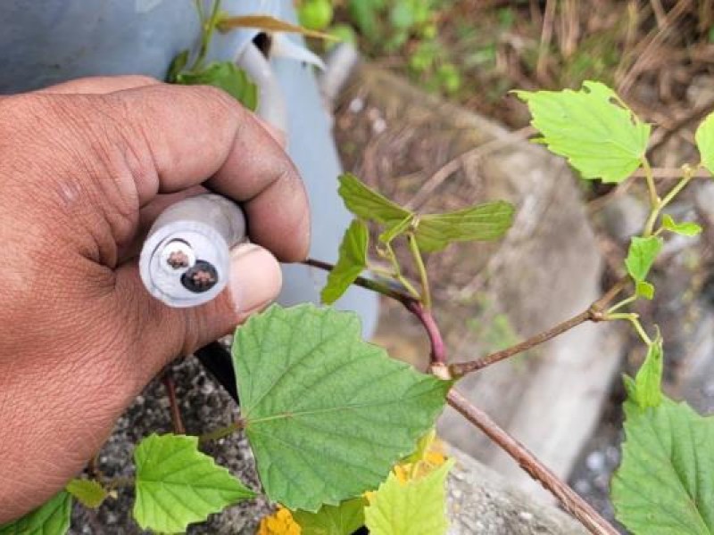 路燈沒電竟然是電纜被偷