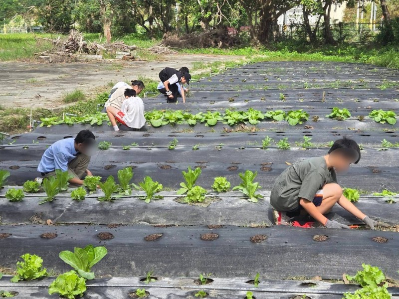 芥菜種會捐地拓寬道路，守護兒少安全促進社區共榮