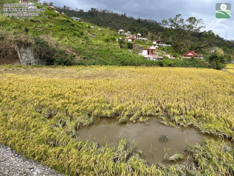 康芮颱風農損現金救助 玉里鎮計4000餘萬元