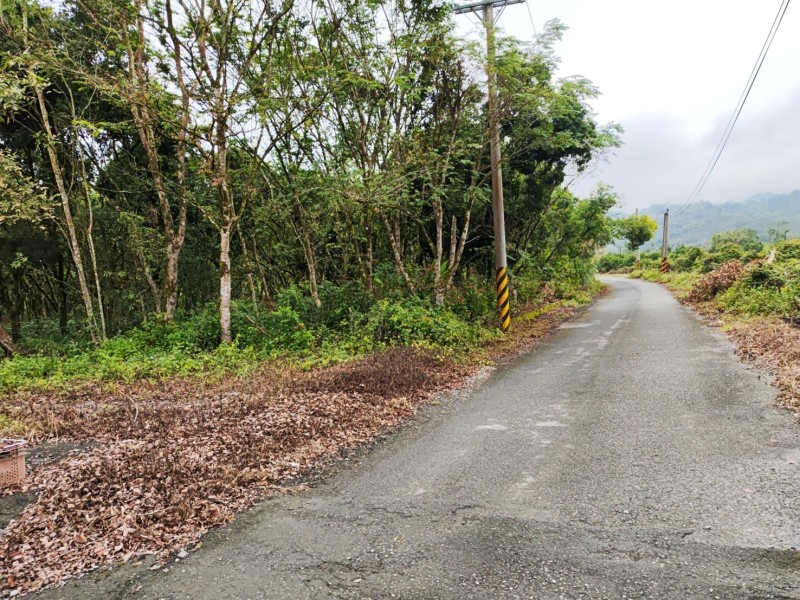 無償供「公眾通行道路土地」可申請免徵地價稅