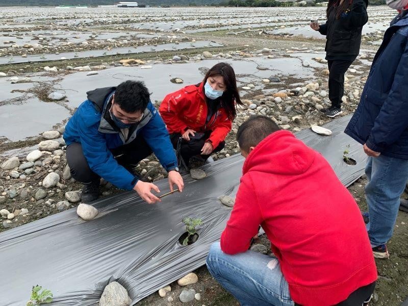 明變天降溫 要防寒害