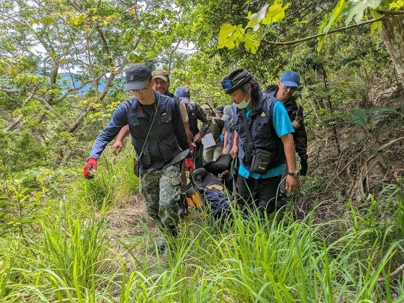 大公熊滋擾雞舍趕不走 竟受困陷阱