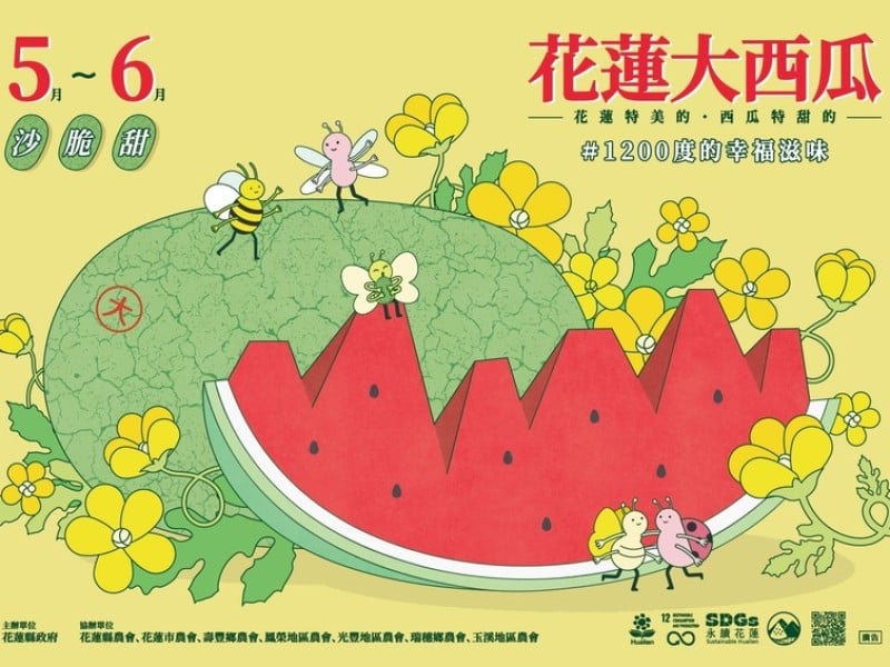 花蓮大西瓜即將上市 首辦西瓜嘉年華