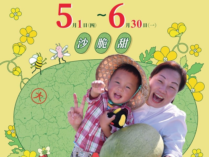 花蓮玉里產區大西瓜5月中旬率先開園上市