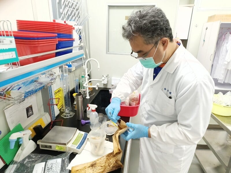 端午應景食品花蓮縣抽驗結果均符合規定