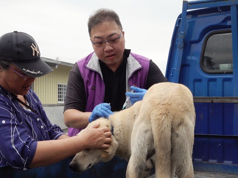 瑞穗犬貓「狂犬病疫苗注射、寵物登記」巡迴今開跑