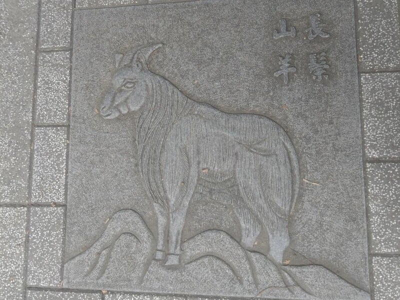 總統府人行道驚現野生動物圖騰