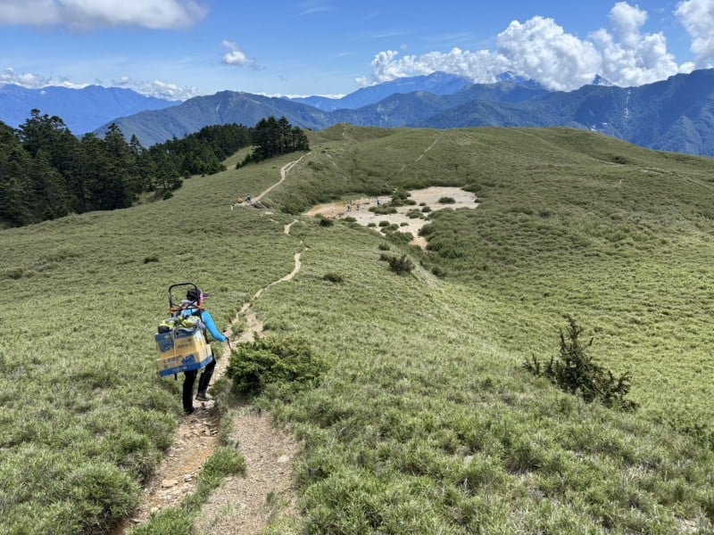 太管處志工復育高山原生植物 助合歡北峰3246鞍地再現生機