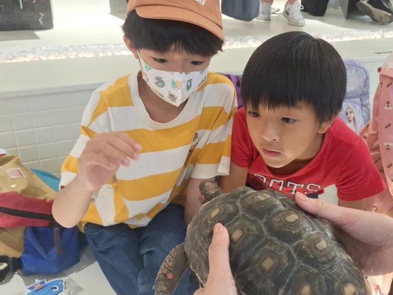 鯨豚、龜龜小學堂 打造沉浸式永續教育