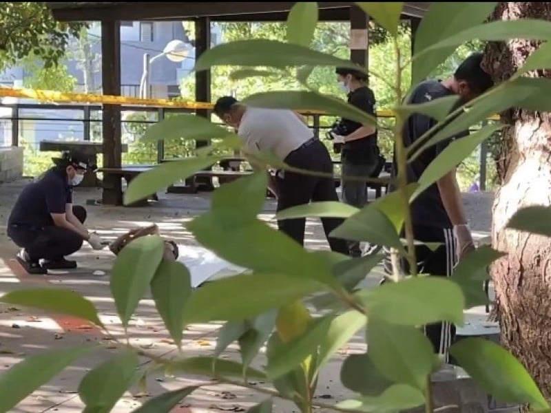 鯉魚山晨運驚見赤膊男性遊民 躺地死亡多時疑猝死