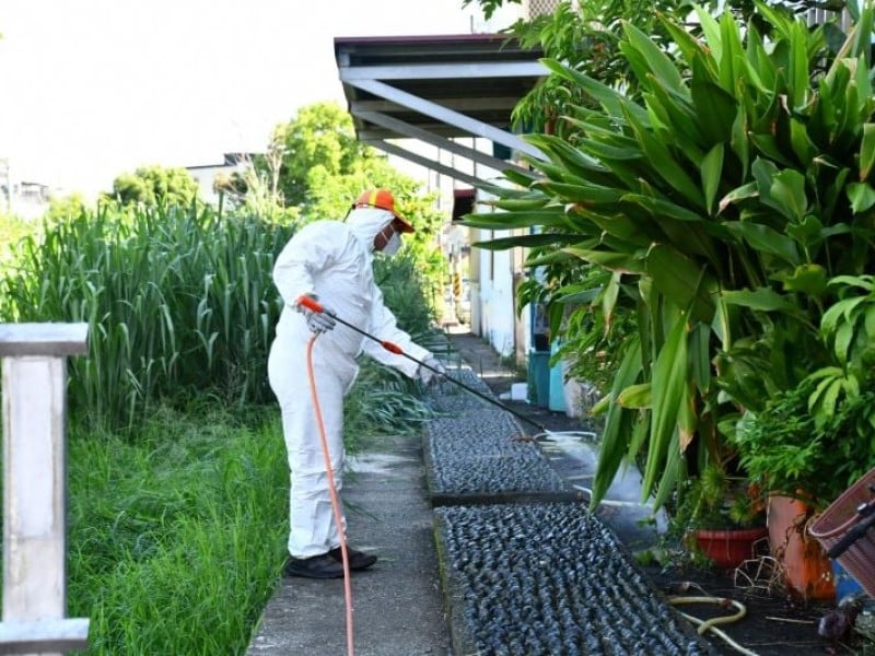 「屈公病」為「蚊媒傳播」! 疾管署澄清: 不會人傳人 呼籲落實「巡、倒、清、刷」