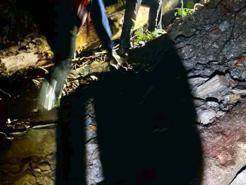 2登山客遭蜂螫劇痛無法行走「全身無力、灼熱發燒」消防出動救援