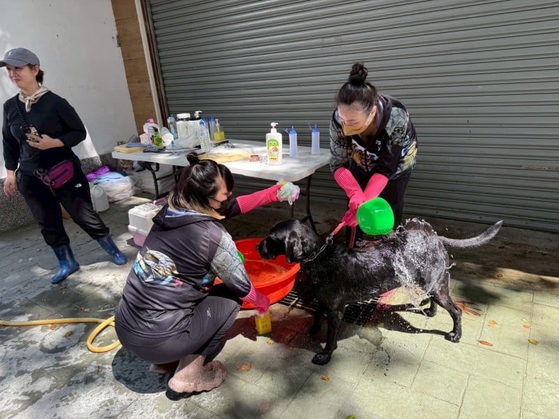 9/28-10/2啟動光復災區犬貓義診服務