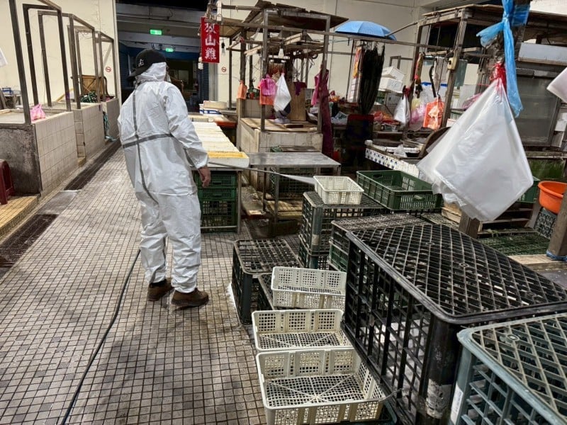 非洲豬瘟禁令解除