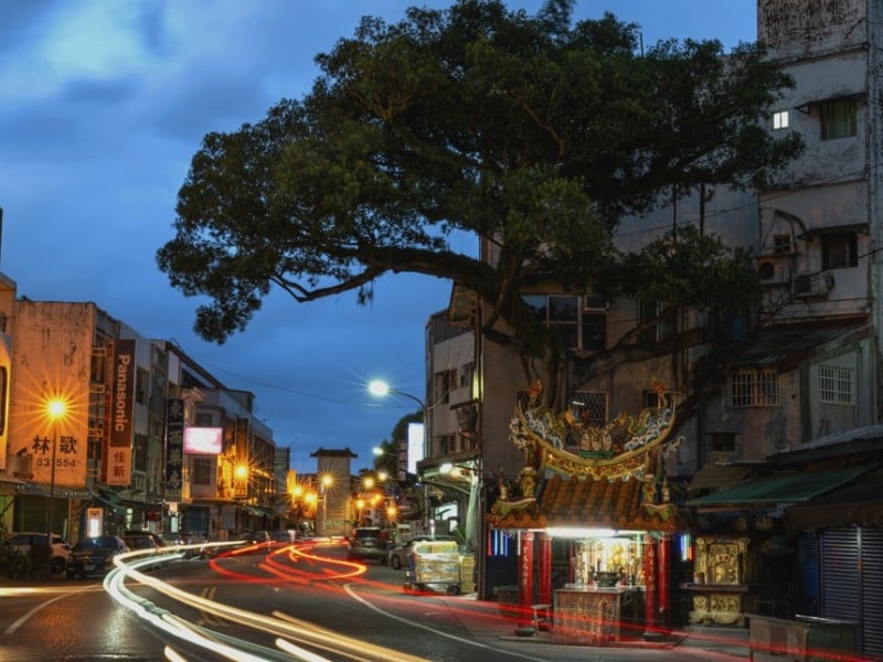 富里土地公廟旁「百年老樹」再見  根正式移除將植新樹