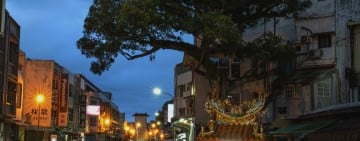 富里土地公廟旁「百年老樹」再見  根正式移除將植新樹