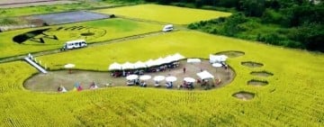 花蓮 Fali Fali 音樂節｜鐵路班班接力 免費接駁三線到位＋1135公車加持