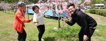 吉安鄉公所推動環境綠美化 即日起受理鄉親苗木申請