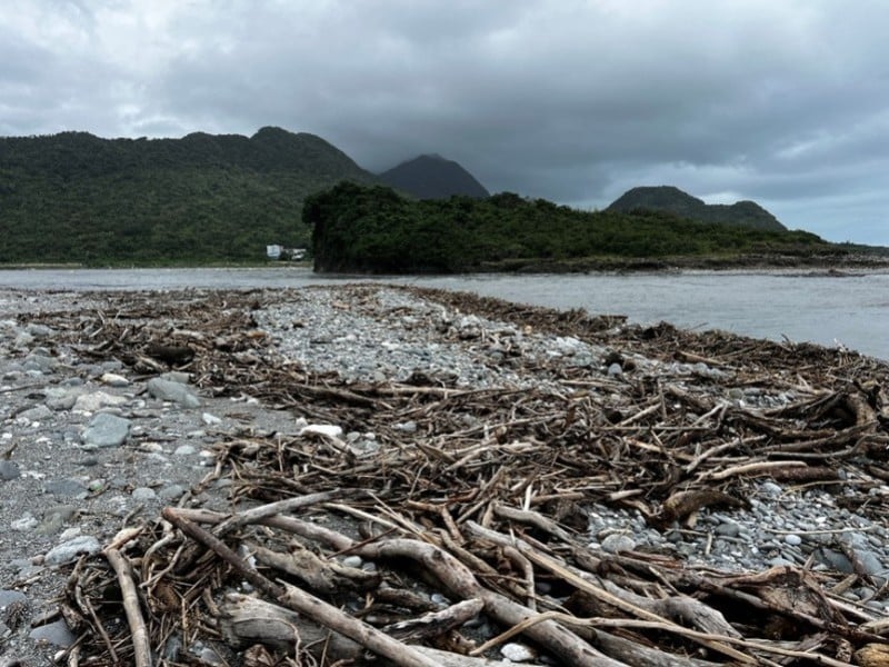 11/20起開放漂流木自由撿拾