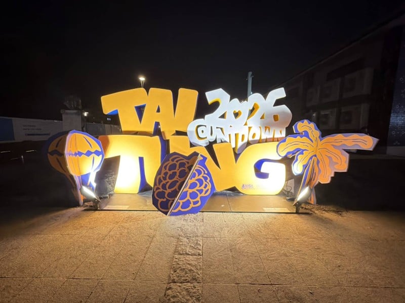 阿妹領銜藝人卡司《東！帶我走》2026臺東跨年晚會 ! 限定打卡景點 抽獎送機票住宿