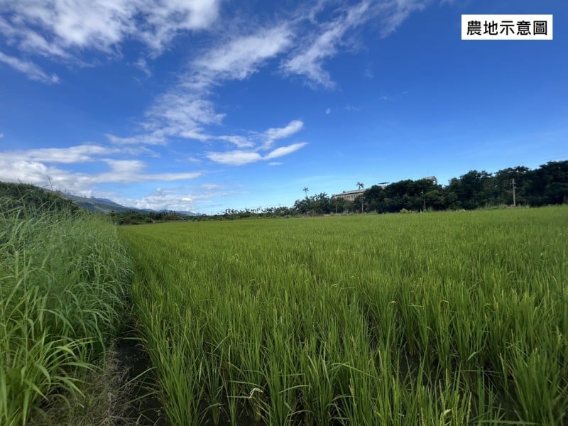 農地違規需在限期內恢復農業使用 再移轉時才可不課徵土增稅