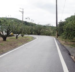 瑞穗「鶴岡村坪頂路、富興村源興路」改善工程完工、正式驗收