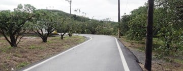 瑞穗「鶴岡村坪頂路、富興村源興路」改善工程完工、正式驗收