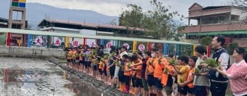 大禹國小推動食米學園獲肯定