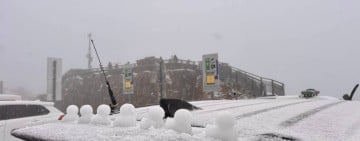 下雪了 ! 台14甲線「昆陽大禹嶺路段」今8時起限加掛雪鏈通行、機動調整