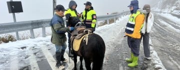 太管處呼籲民眾 為維護環境生態 禁止攜帶寵物進入生態保護區、史蹟保存區或特別景觀區