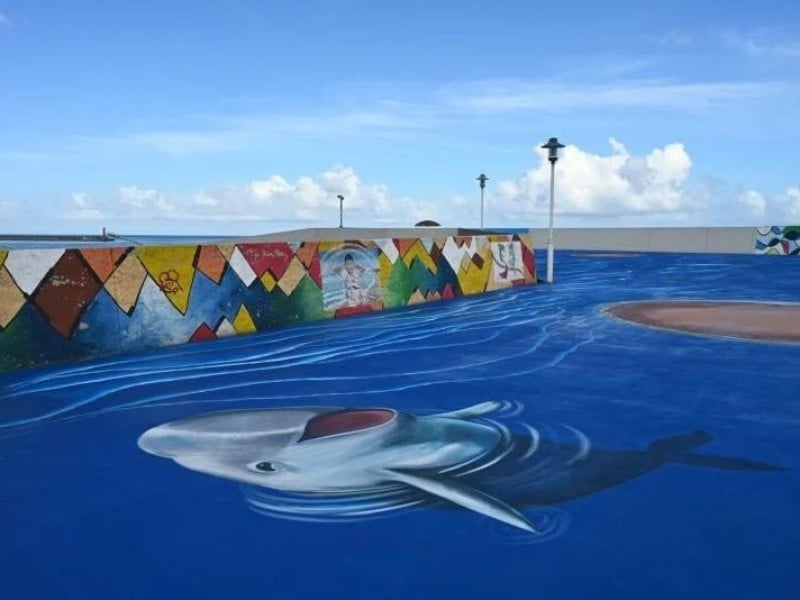 迎接2026健康新年　花蓮縣政府元旦健走暨升旗活動熱鬧登場