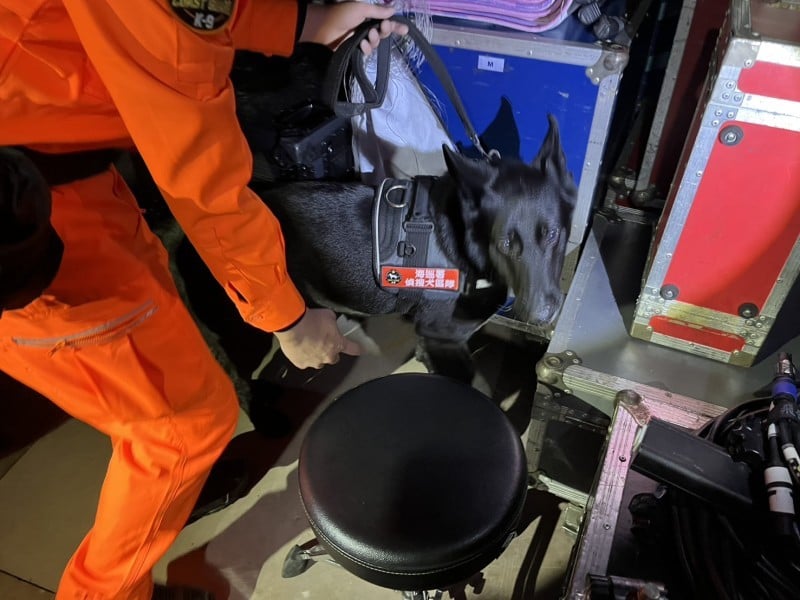 海巡署偵搜犬支援花蓮跨年演唱會維安