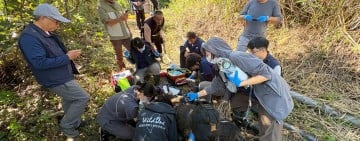 二度野放仍多次侵擾、驅趕無效 ! 黑熊「阿里曼・西肯」被捕捉送動物園安置