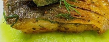 當季鯖魚結合在地漁獲、海洋知識與花蓮飲食文化