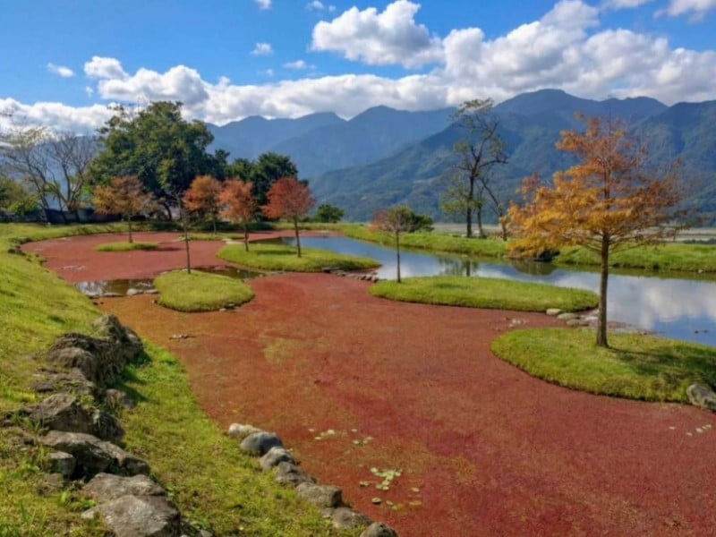 自然景色與心靈沉靜—東富禪寺池塘紅景吸引遊客朝聖