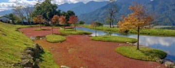 自然景色與心靈沉靜—東富禪寺池塘紅景吸引遊客朝聖