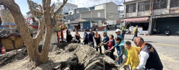 百年老樹記憶不落幕 ! 富里種下新樹種「太魯閣櫟」延續守護精神