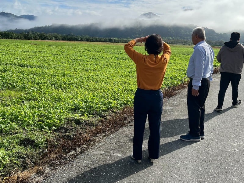 歡慶豐收好彩頭 ! 瑞穗「拔蘿蔔比賽」將於2/7登場 20攤美食、特產 一次購足在地好物