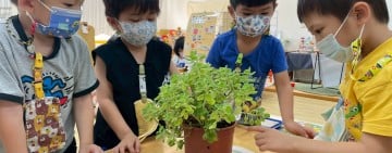 花蓮縣推動非營利幼兒園  完善公共化教保服務網絡